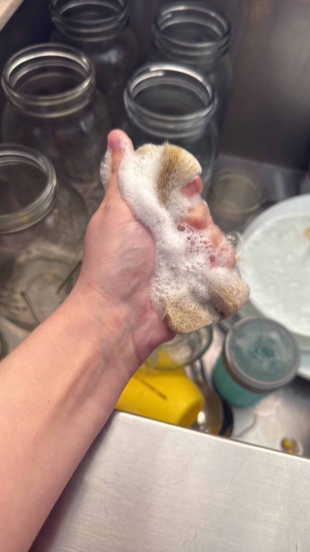 Liquid dish soap concentrate